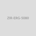 Floral Vine Threader Earrings - ZIR-ERG-5080