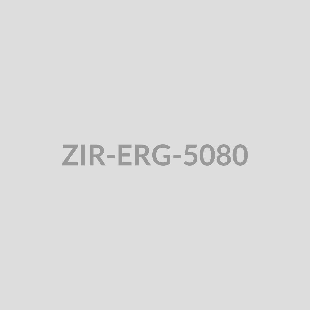 Floral Vine Threader Earrings - ZIR-ERG-5080