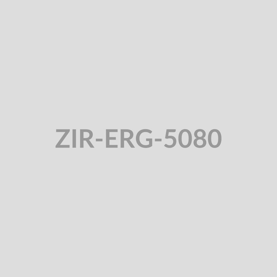 Floral Vine Threader Earrings - ZIR-ERG-5080