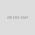 Leaf Spike Drop Earrings - ZIR-ERG-5069