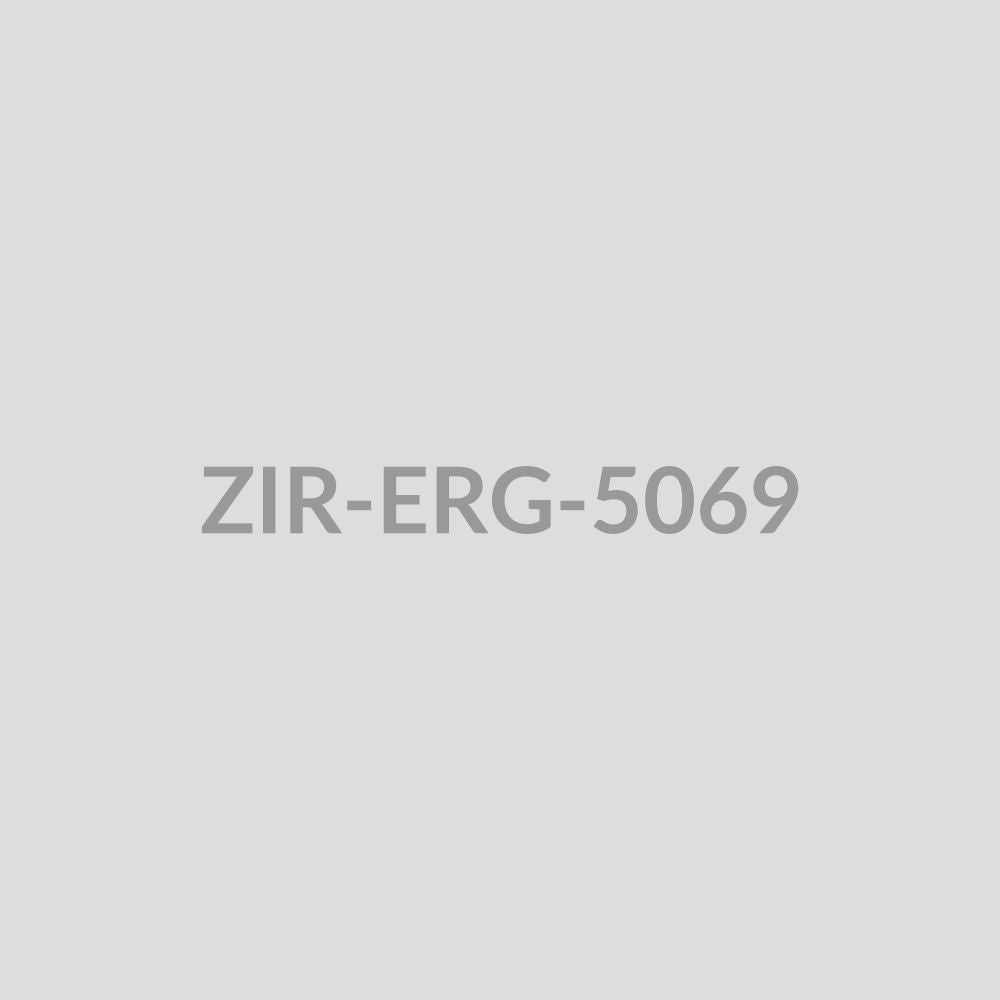 Leaf Spike Drop Earrings - ZIR-ERG-5069