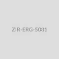 Lantern Motif Ear Cuff Earrings - ZIR-ERG-5081