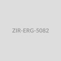 Butterfly Statement Drop Earrings - ZIR-ERG-5082