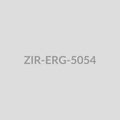 Crescent Moon Drop Earrings - ZIR-ERG-5054
