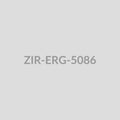 Ornate Mandala Disc Stud Earrings - ZIR-ERG-5086