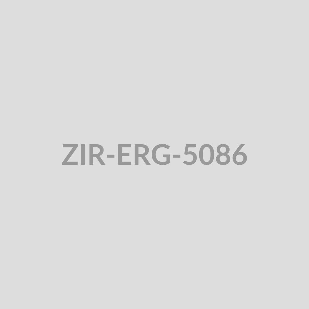 Ornate Mandala Disc Stud Earrings - ZIR-ERG-5086