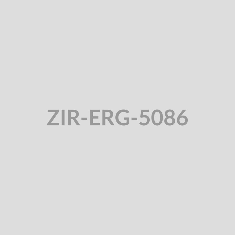Ornate Mandala Disc Stud Earrings - ZIR-ERG-5086