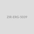 Hammered Round Stud Earrings - ZIR-ERG-5039 - ZIR-ERG-5039 (1).jpg