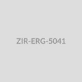 Butterfly Drop Earrings - ZIR-ERG-5041