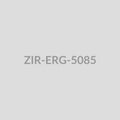 Spiral Sunburst Drop Earrings - ZIR-ERG-5085
