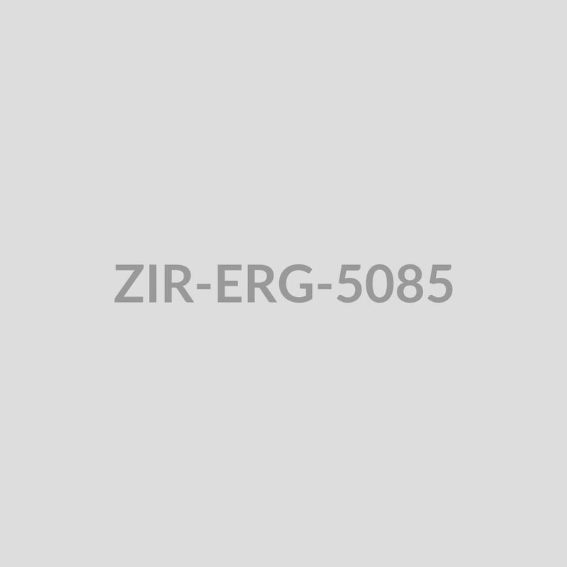 Spiral Sunburst Drop Earrings - ZIR-ERG-5085