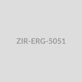 Leaf Branch Drop Earrings - ZIR-ERG-5051