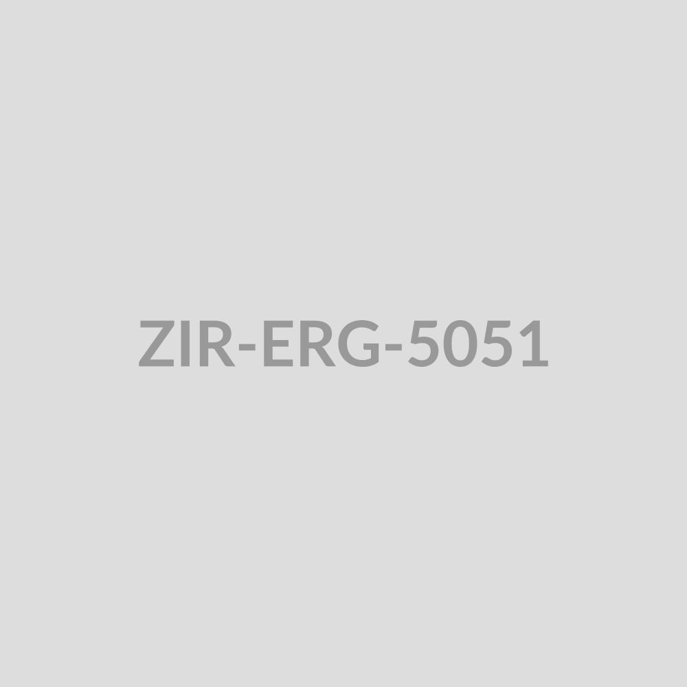 Leaf Branch Drop Earrings - ZIR-ERG-5051