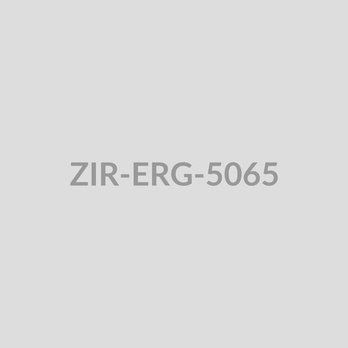 Bell Charm Drop Earrings - ZIR-ERG-5065