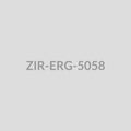 Heart Bar Drop Earrings - ZIR-ERG-5058