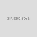 Black Floral Spike Drop Earrings - ZIR-ERG-5068