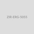 Dragonfly Drop Earrings - ZIR-ERG-5055