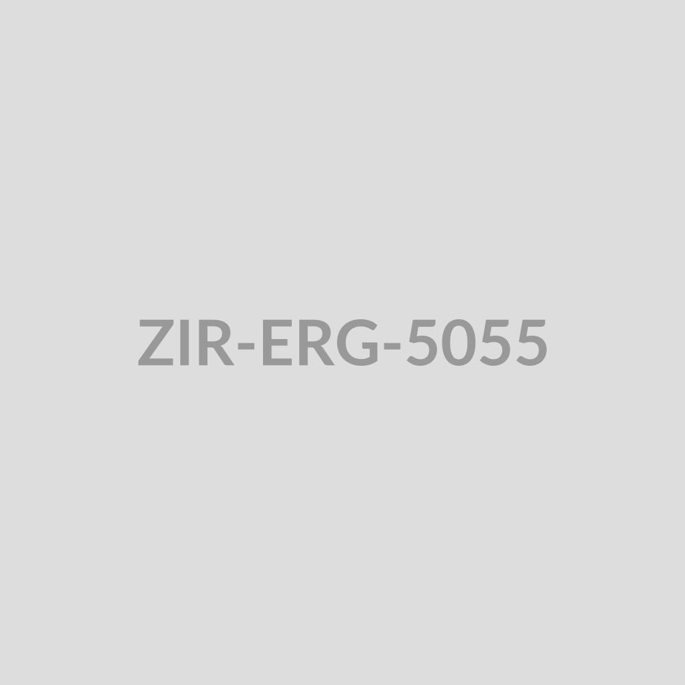 Dragonfly Drop Earrings - ZIR-ERG-5055