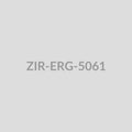 Hummingbird Drop Earrings - ZIR-ERG-5061
