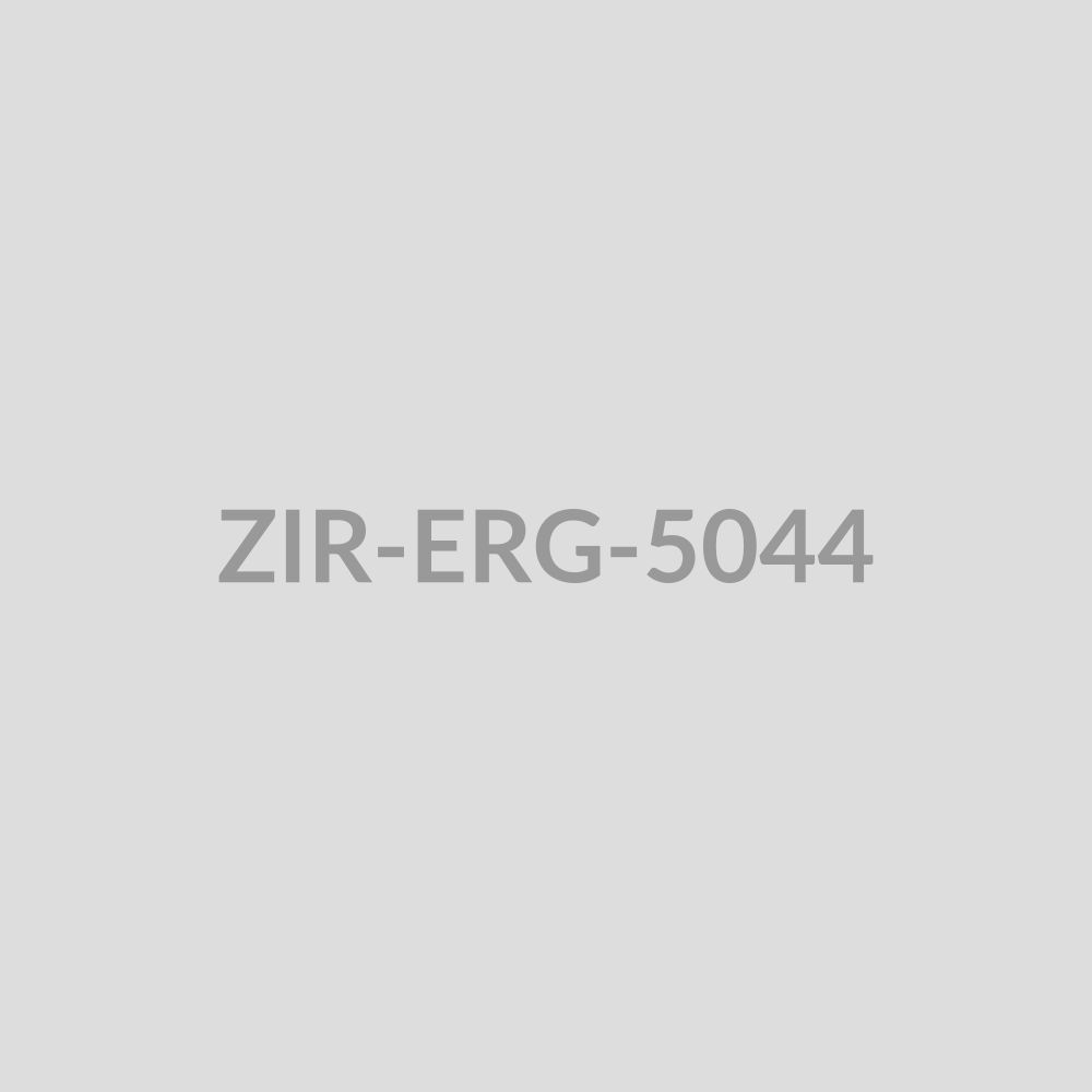 Sunburst Charm Drop Earrings - ZIR-ERG-5044