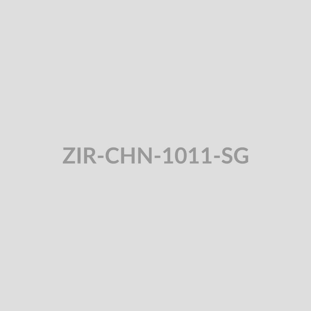 Silver Gold Pendant Chain 1011 - ZIR-CHN-1011-SG