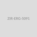 Floral Filigree Ear Cuff Earrings - ZIR-ERG-5091