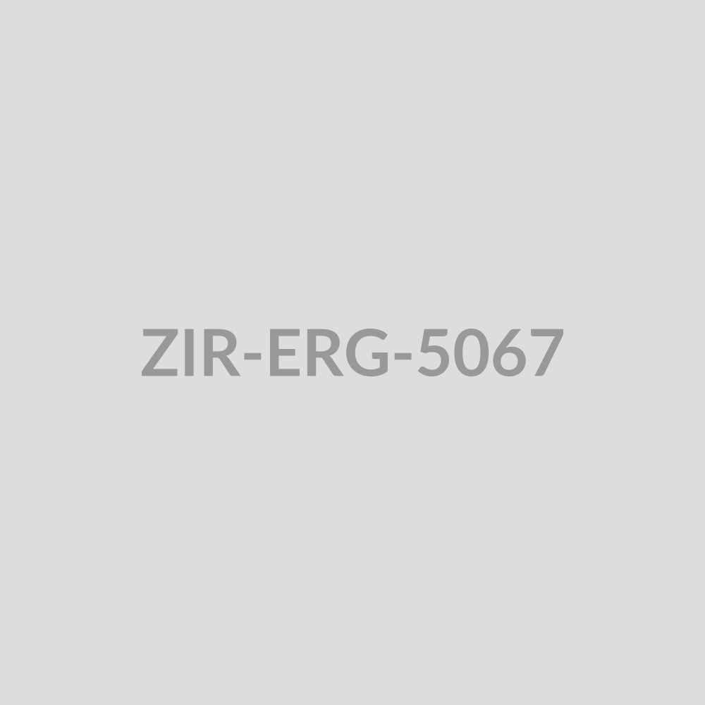 Fan Shape Statement Stud Earrings - ZIR-ERG-5067