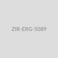Ornate Temple Drop Earrings - ZIR-ERG-5089