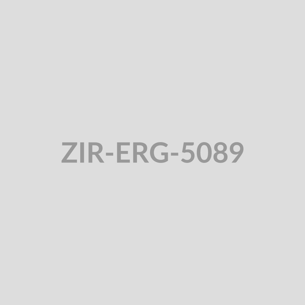 Ornate Temple Drop Earrings - ZIR-ERG-5089