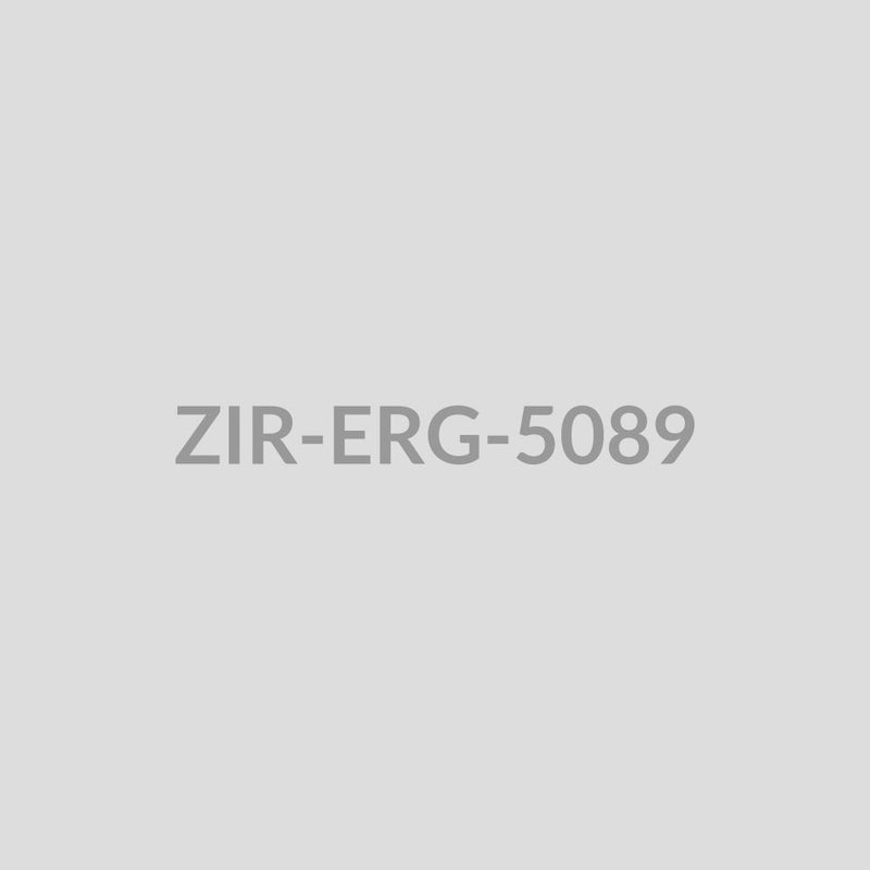Ornate Temple Drop Earrings - ZIR-ERG-5089