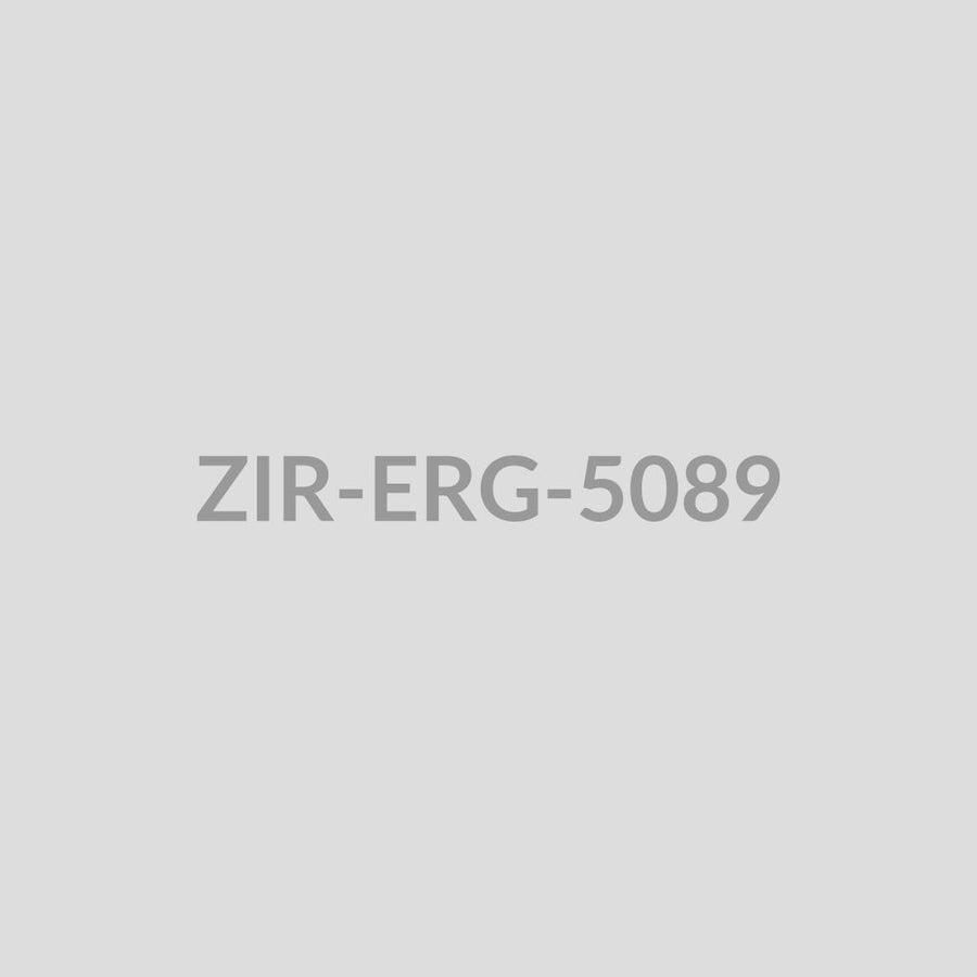 Ornate Temple Drop Earrings - ZIR-ERG-5089
