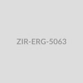 Floral Mandala Stud Earrings - ZIR-ERG-5063